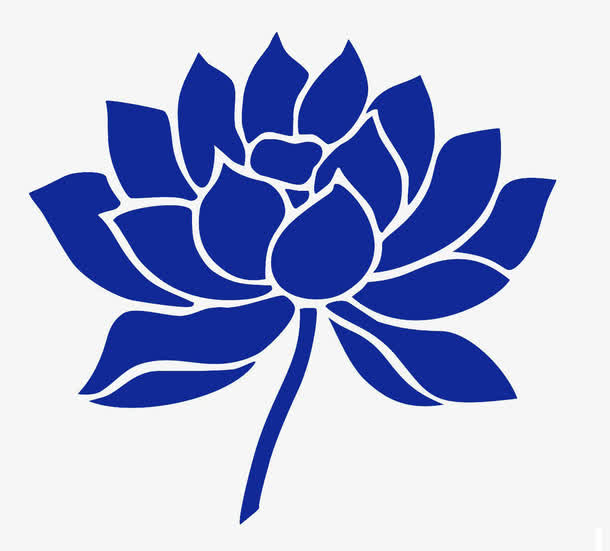 爱许巍爱蓝莲花