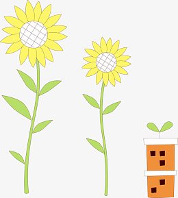 花盆和向日葵