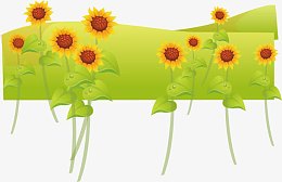 向日癸山坡