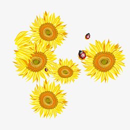 手绘矢量太阳花免抠素材