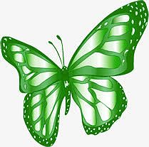 高清手绘摄影绿色蝴蝶
