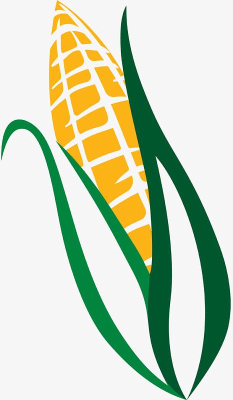 手绘玉米