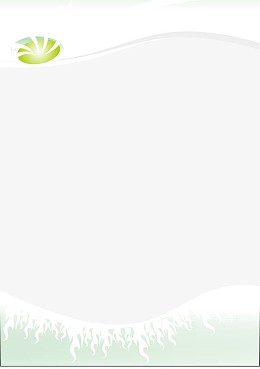 浅绿色海报边框