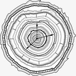 创意木挂钟pngpng时钟pngpng木质的罗马数字表pngpng木质古钟pngpng