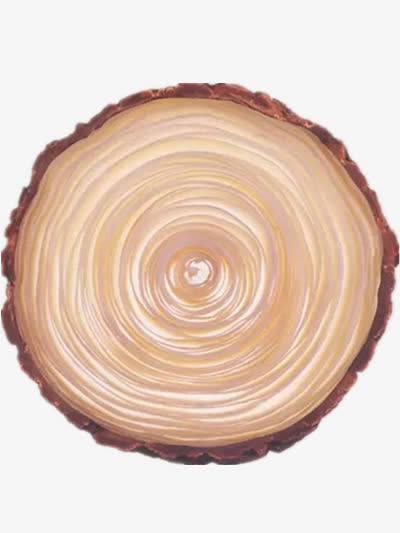 年轮素材免费下载_觅元素