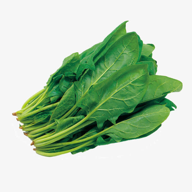 蔬菜菠菜素材免费下载_觅元素