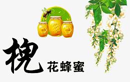 槐花蜂蜜