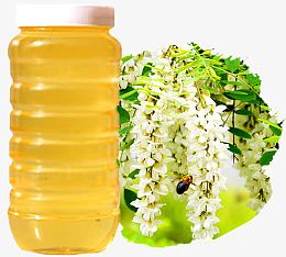 洋槐蜂蜜