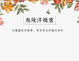 洋槐蜂蜜