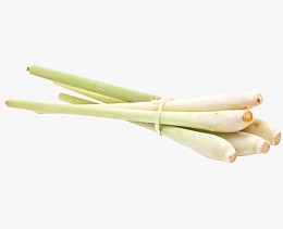 清新食材香茅免抠素材