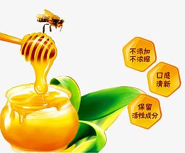 蜂蜜蜜蜂