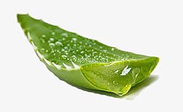 晶莹的芦荟汁素材