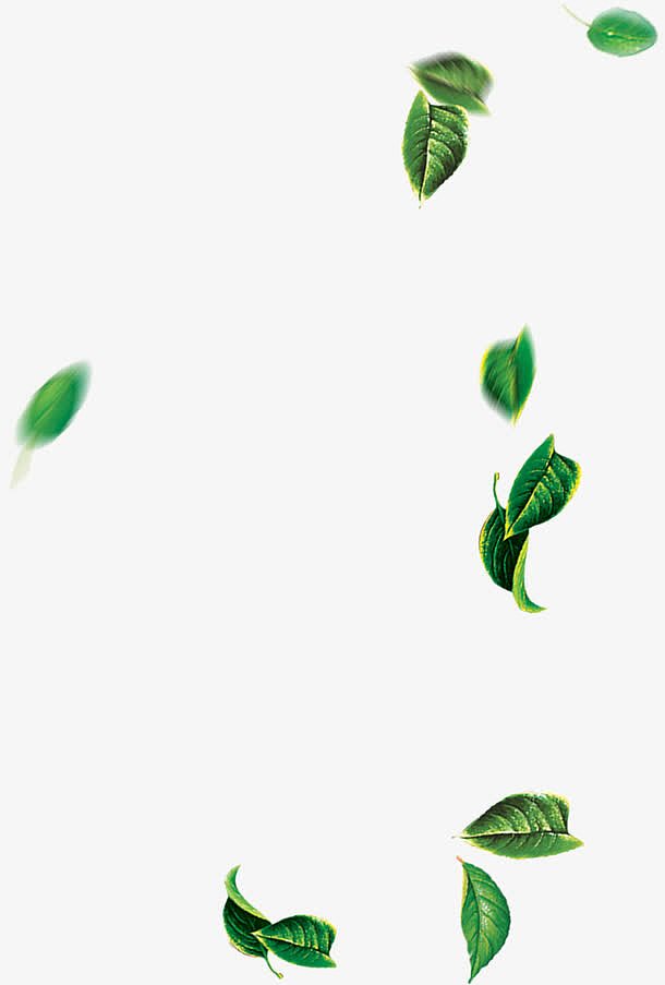摄影夏日海报绿色漂浮树叶