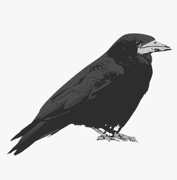 水彩乌鸦