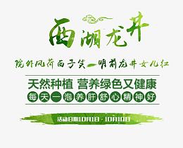 西湖龙井文字排版