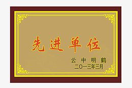 先进单位