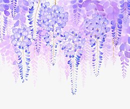 手绘紫藤花