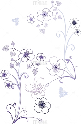 紫罗兰花纹