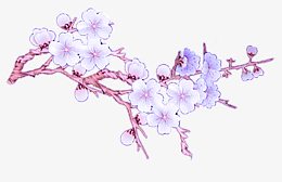 一支梅花