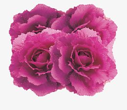 迎新年节日素材