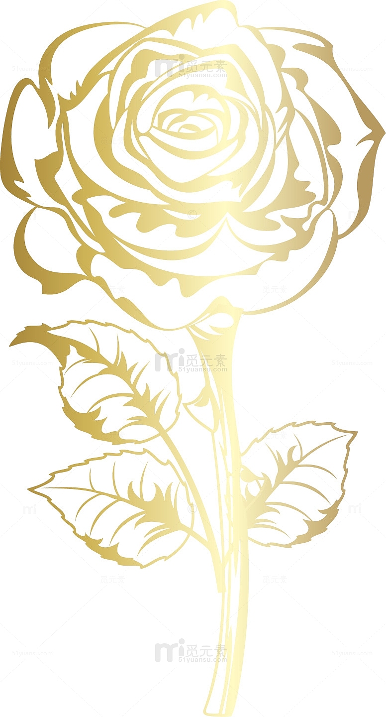 金色玫瑰花花纹