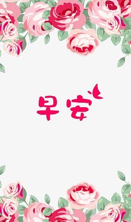 玫瑰花早安