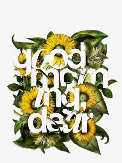 对象暂无授权使用范围仅供学习交流使用png清晰太阳花pngaipng向日