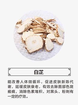 白芷