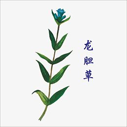 中药