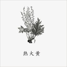 熟地黄