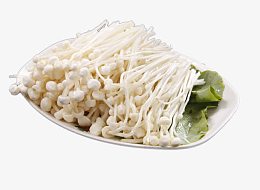 盘子中的金针菇素材图片