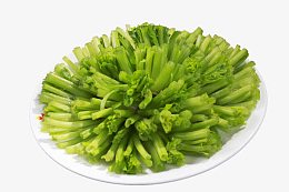 鲜菠菜根