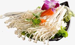 金针菇素材
