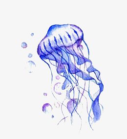紫色海洋水母