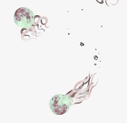 水母