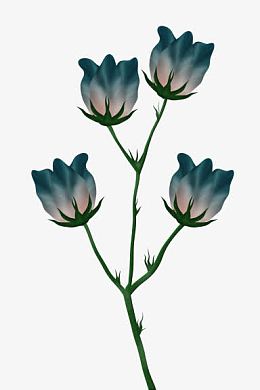 韩式花卉