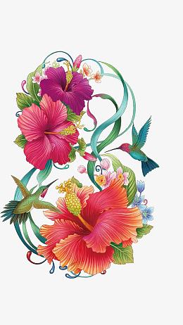 手绘木槿花