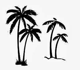 椰树