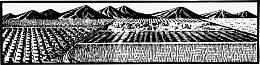 矢量山林