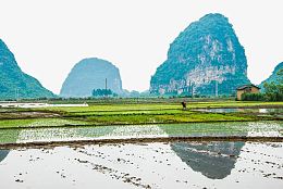 桂林农田免抠