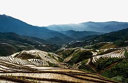 水田梯田