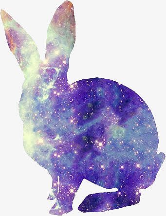星空兔子