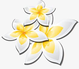 矢量手绘鸡蛋花
