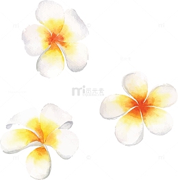 矢量手绘鸡蛋花
