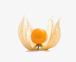 黄色鸡蛋花