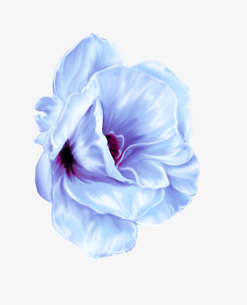 手绘蓝色玉兰花