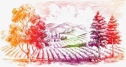 炫彩葡萄园橡树高清免抠素材