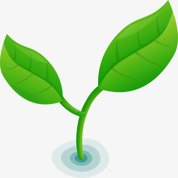 关键词 : 卡通,矢量,手绘,发芽,绿芽,ai,绿色,幼苗,绿叶,叶子[声明]
