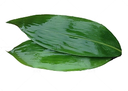 粽子的粽叶