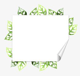 卷起的书页边框